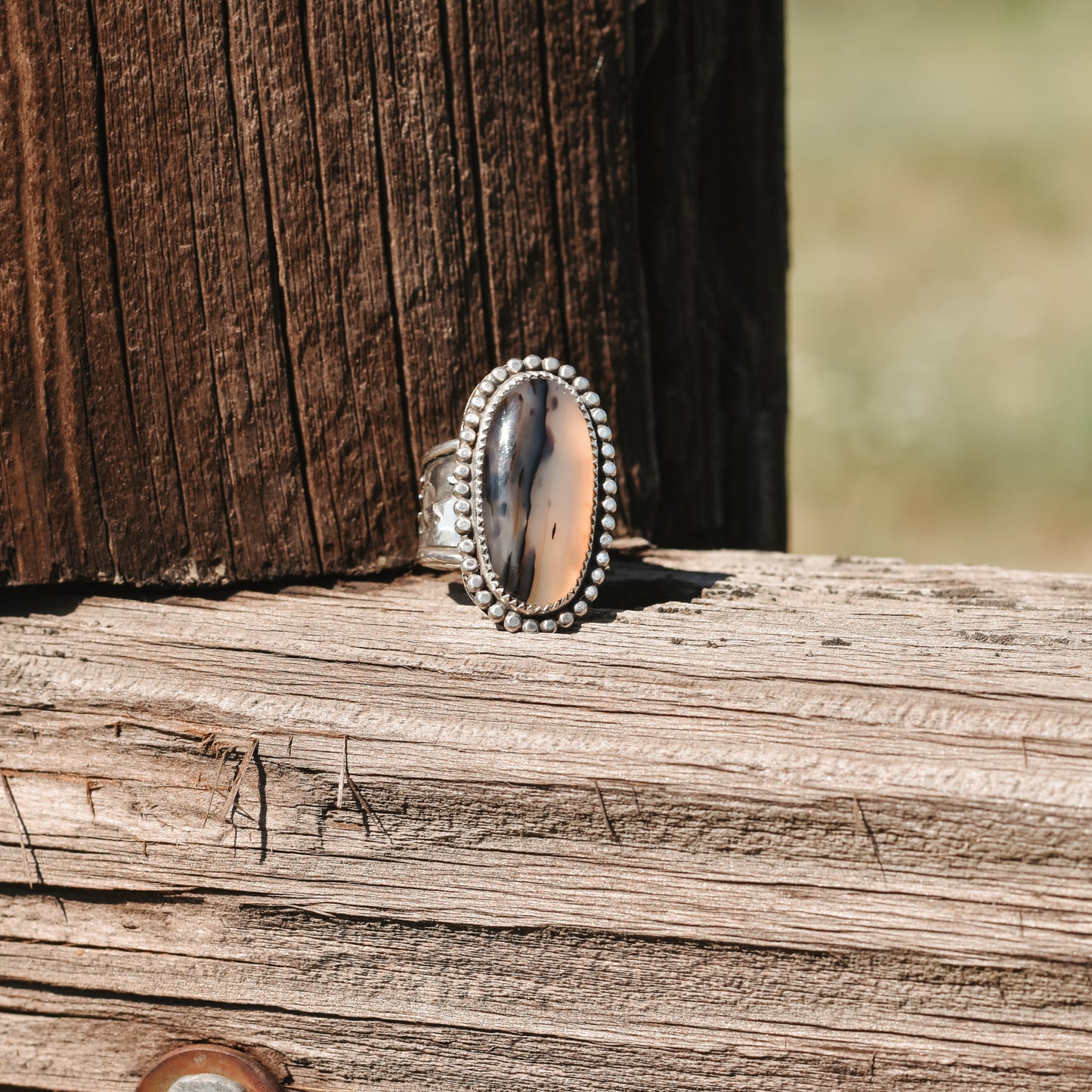 Montana Agate Tree Ring