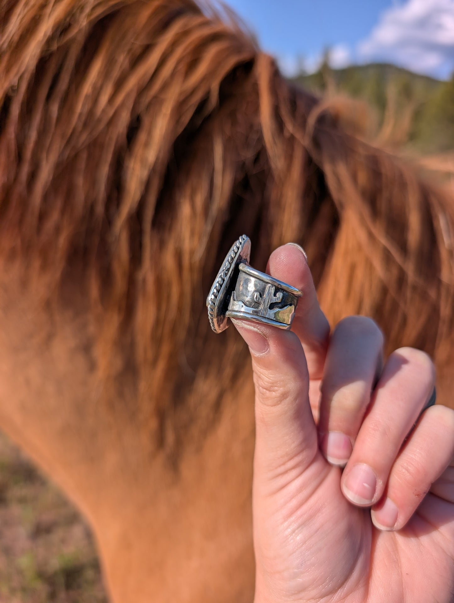 Owyhee Desert Band Ring