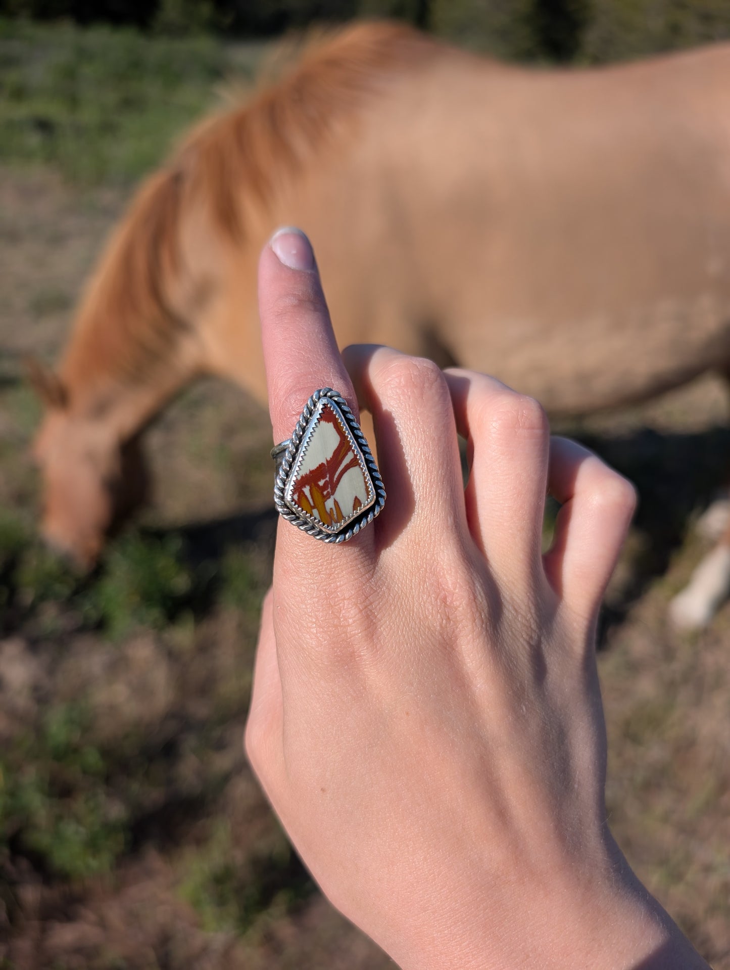 Owyhee Desert Band Ring
