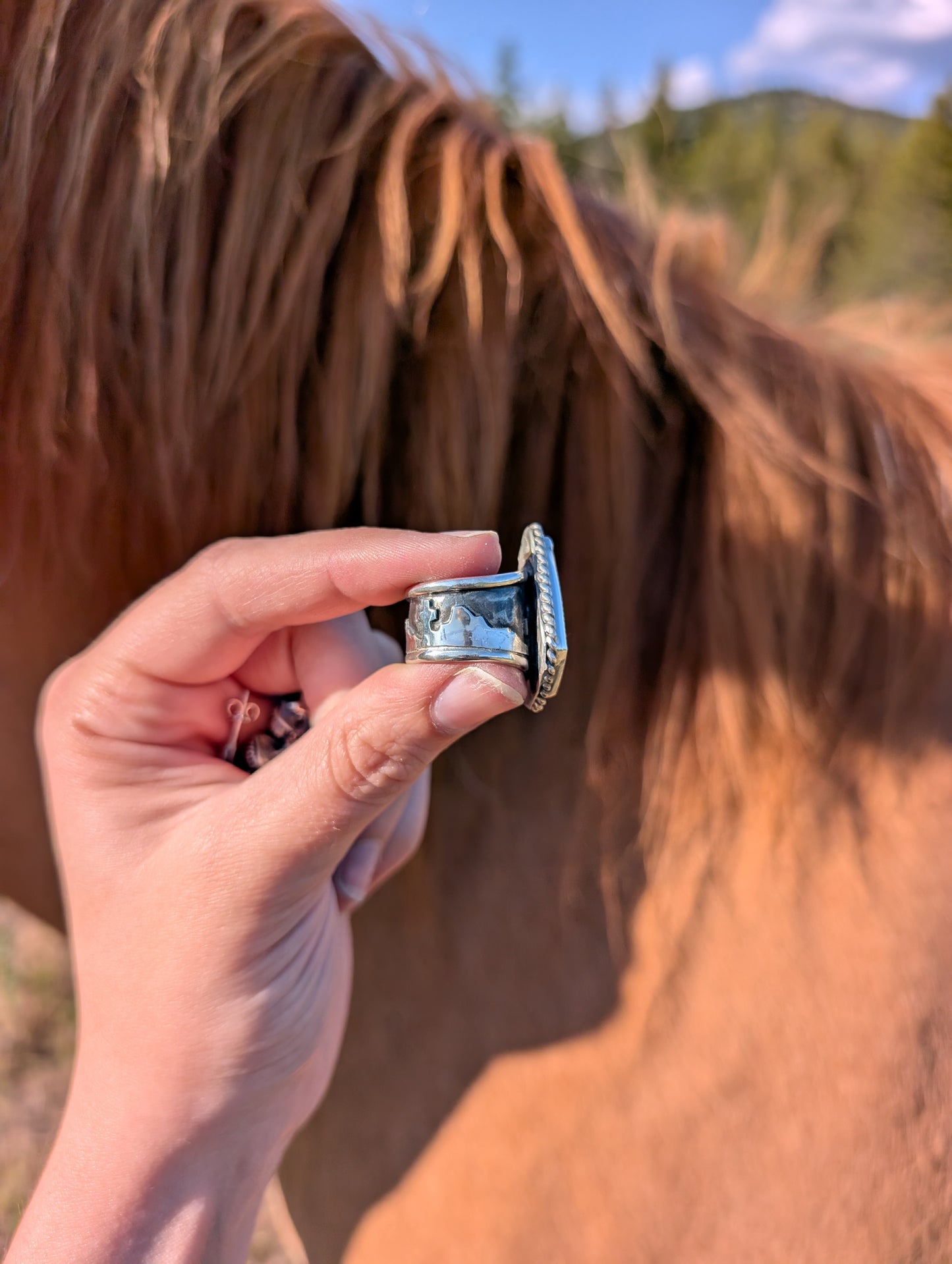 Owyhee Desert Band Ring