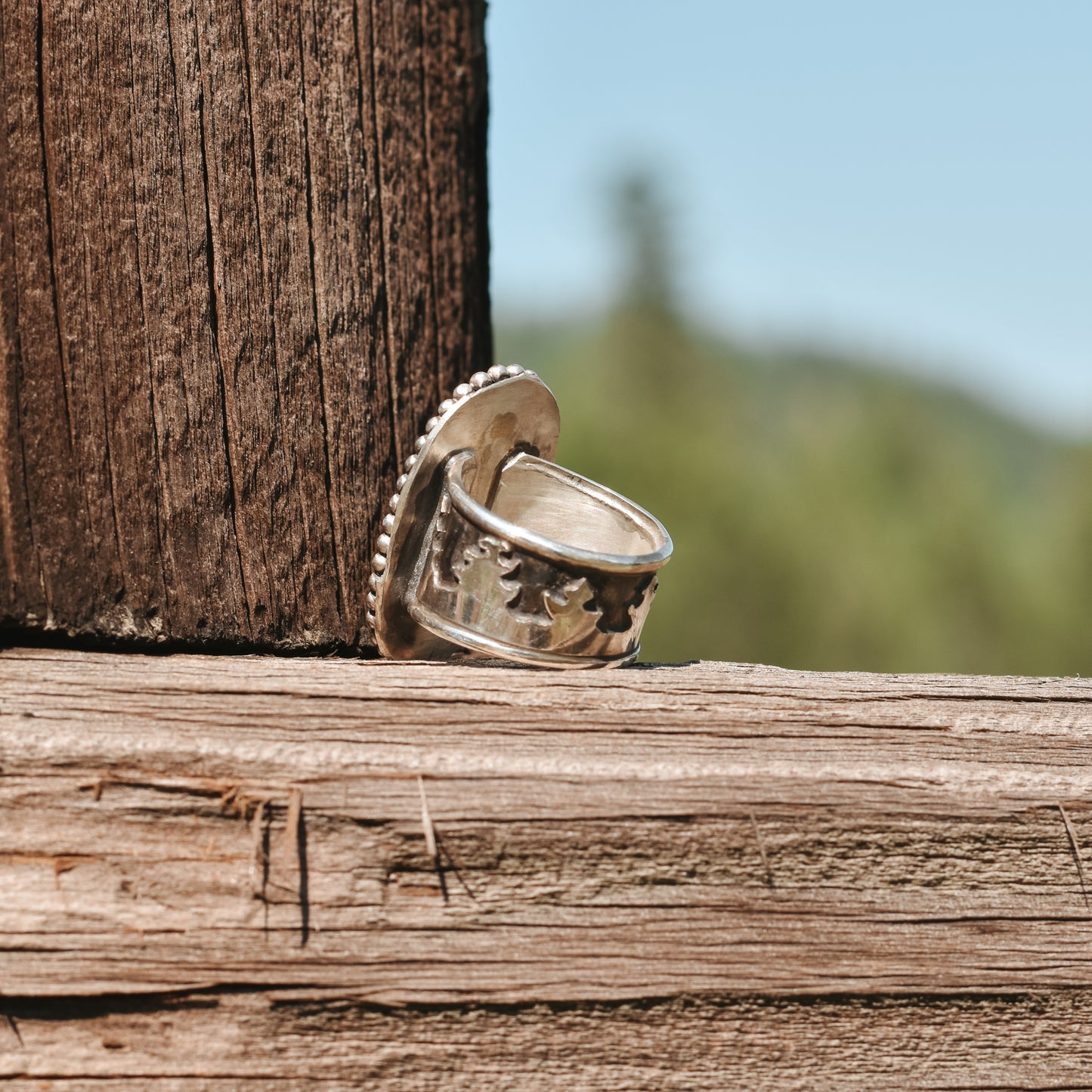 Montana Agate Tree Ring