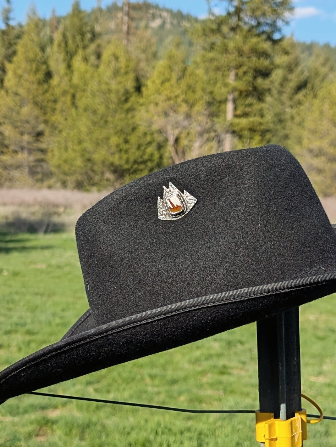 Owyhee Mountain Hat Pin