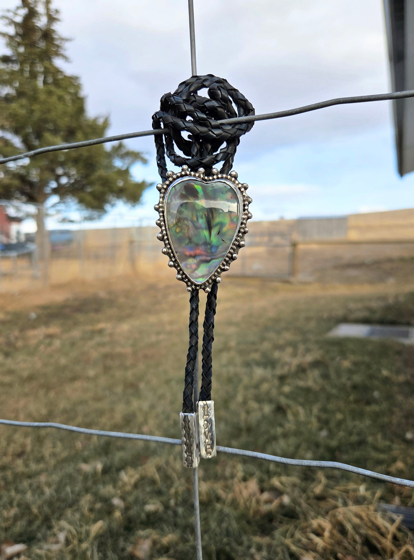 Wild Love Bolo