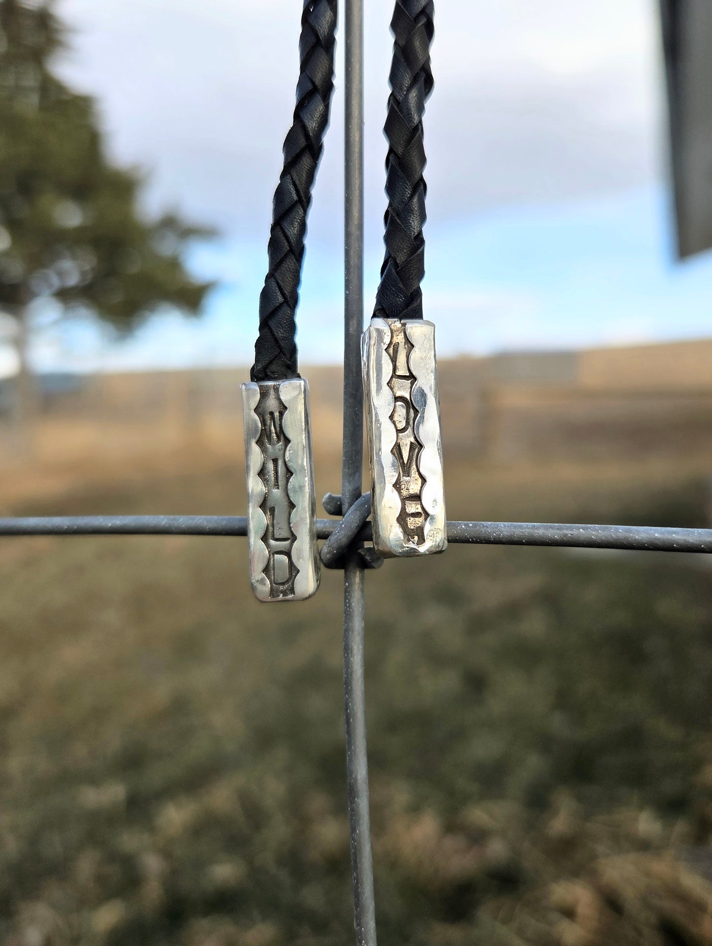 Wild Love Bolo