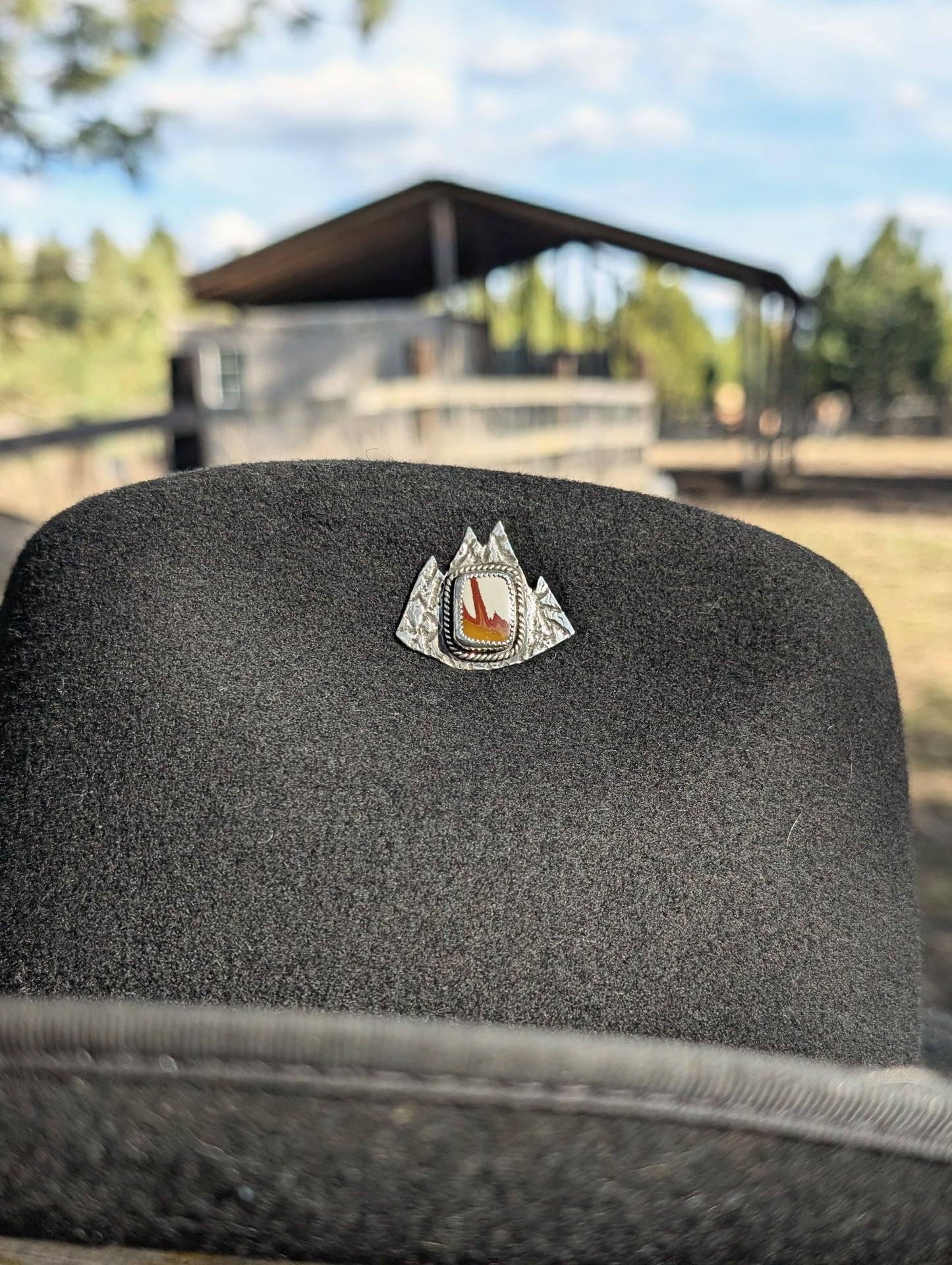 Owyhee Mountain Hat Pin