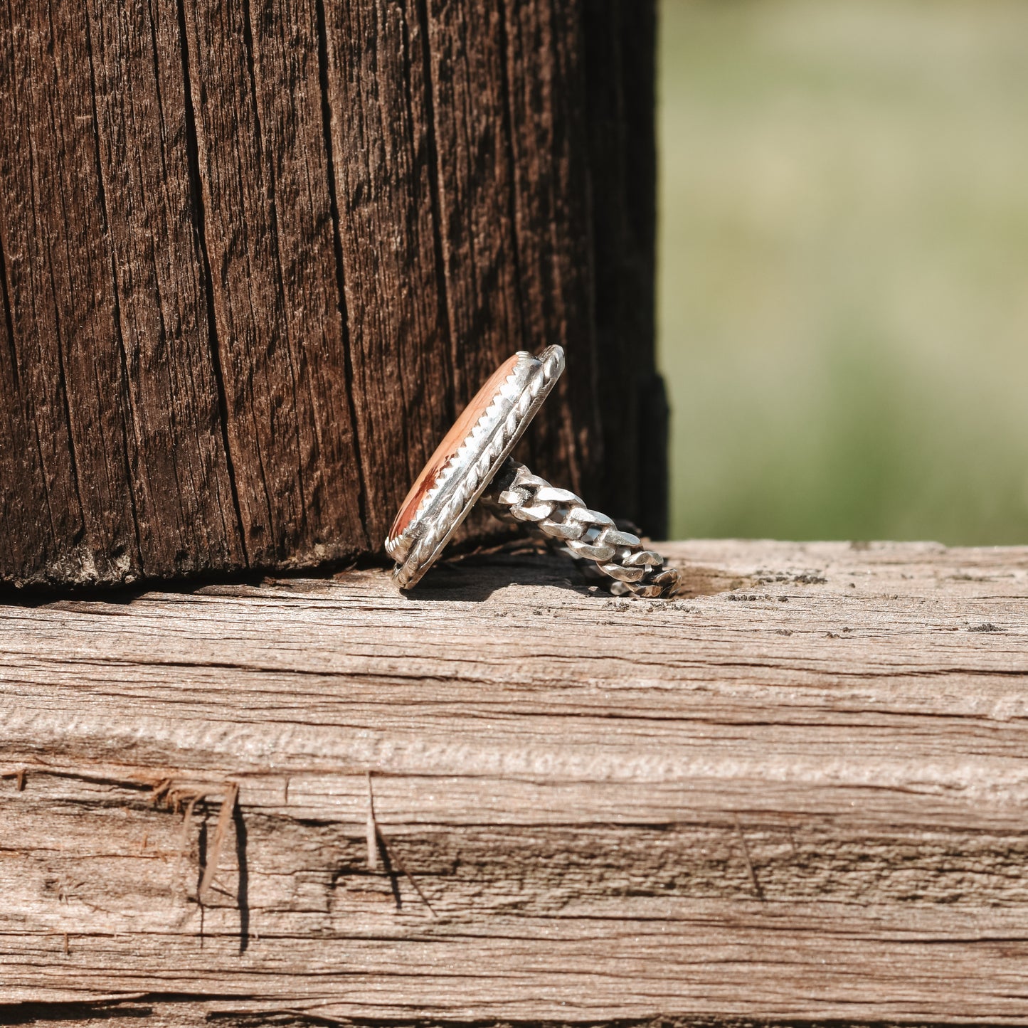 Fire Ledge Chain Ring