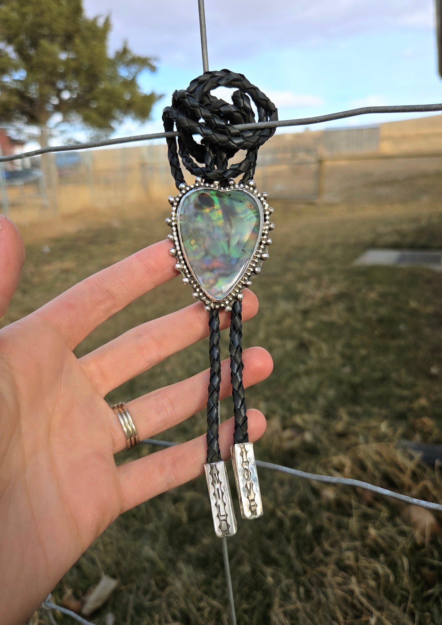 Wild Love Bolo