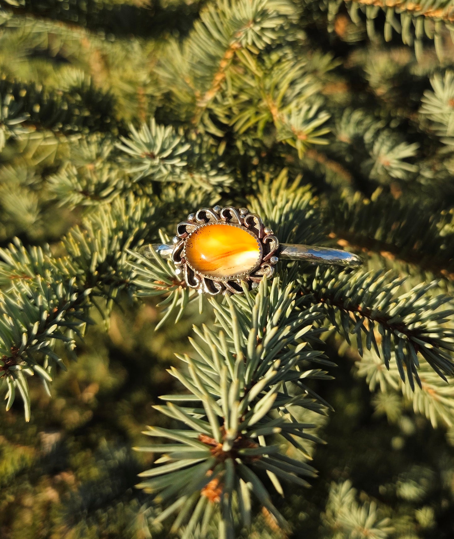 Montana agate curly Q cuff