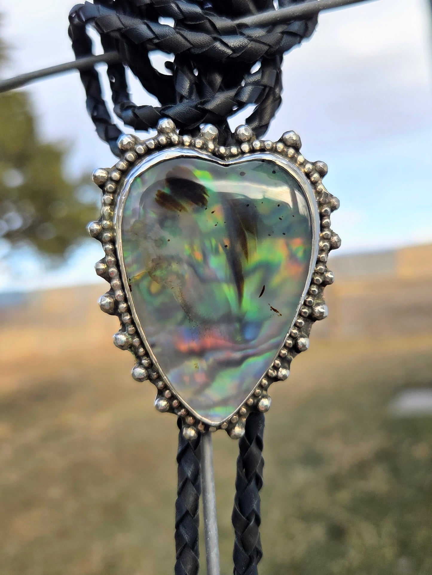 Wild Love Bolo