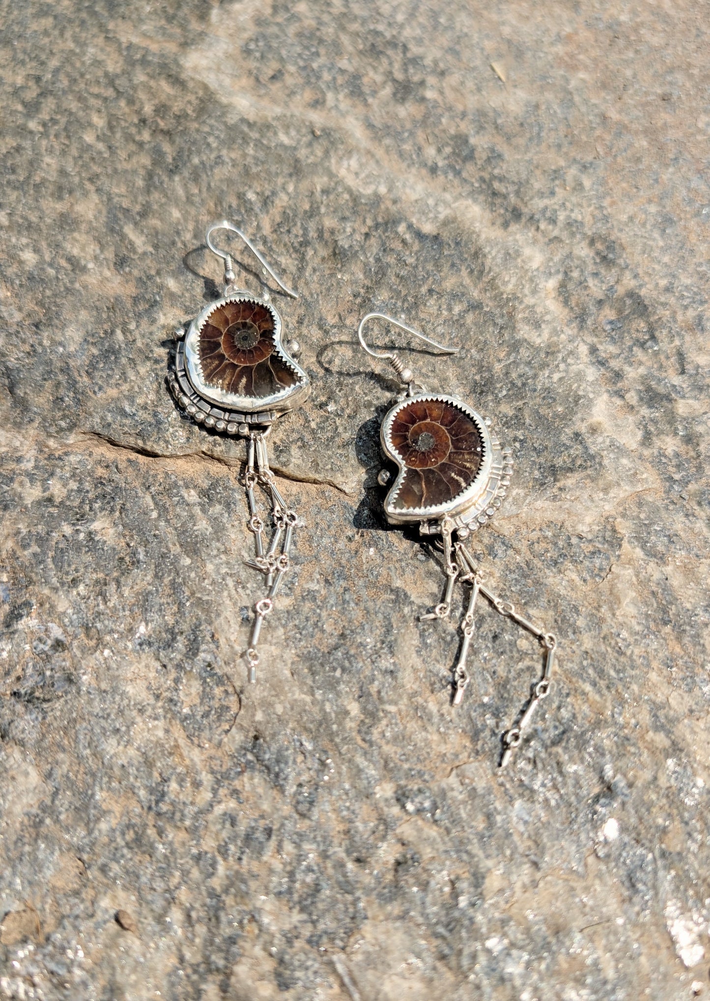 Beach Please Ammonite Earrings