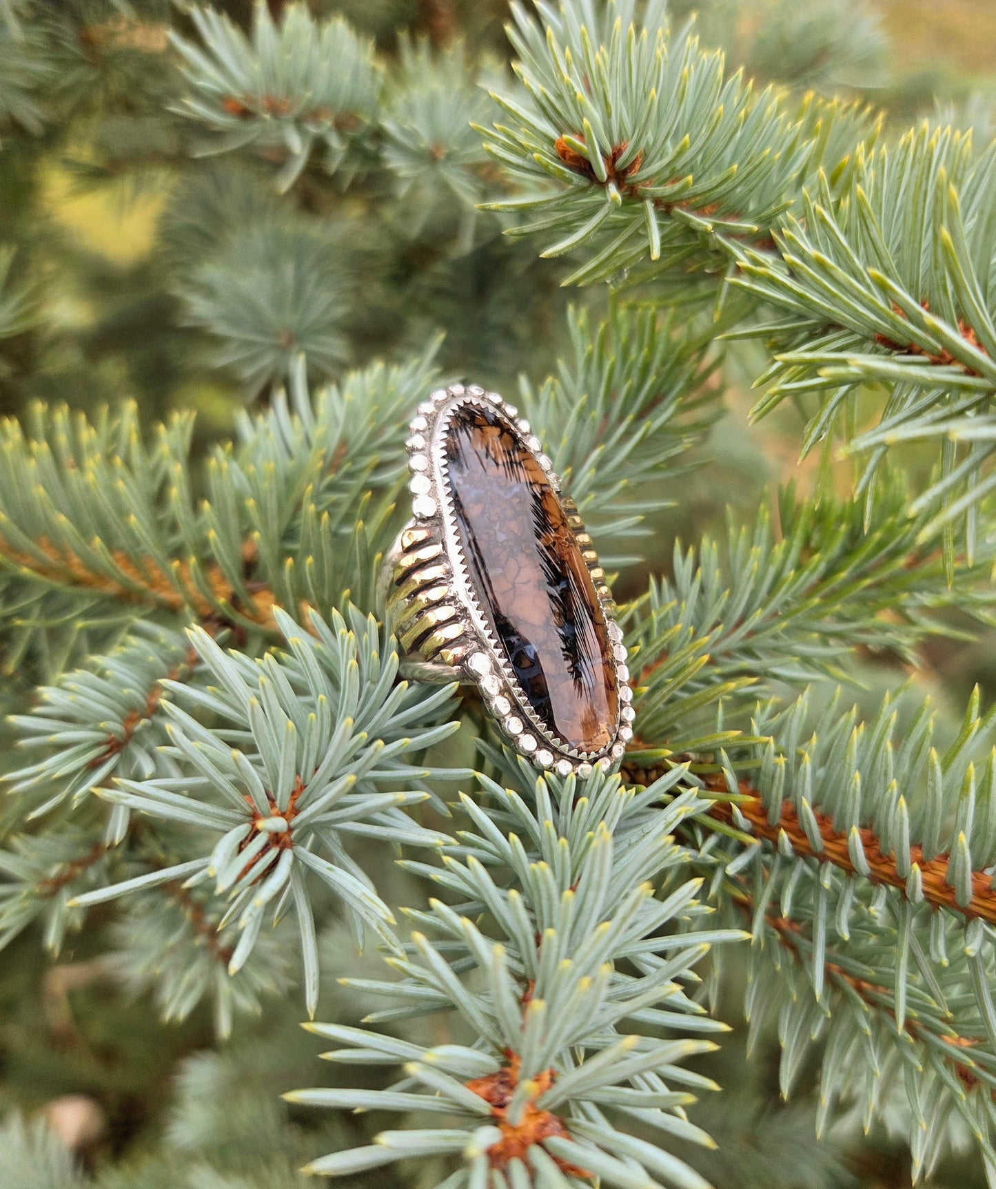 Stefoinite ring with Brass