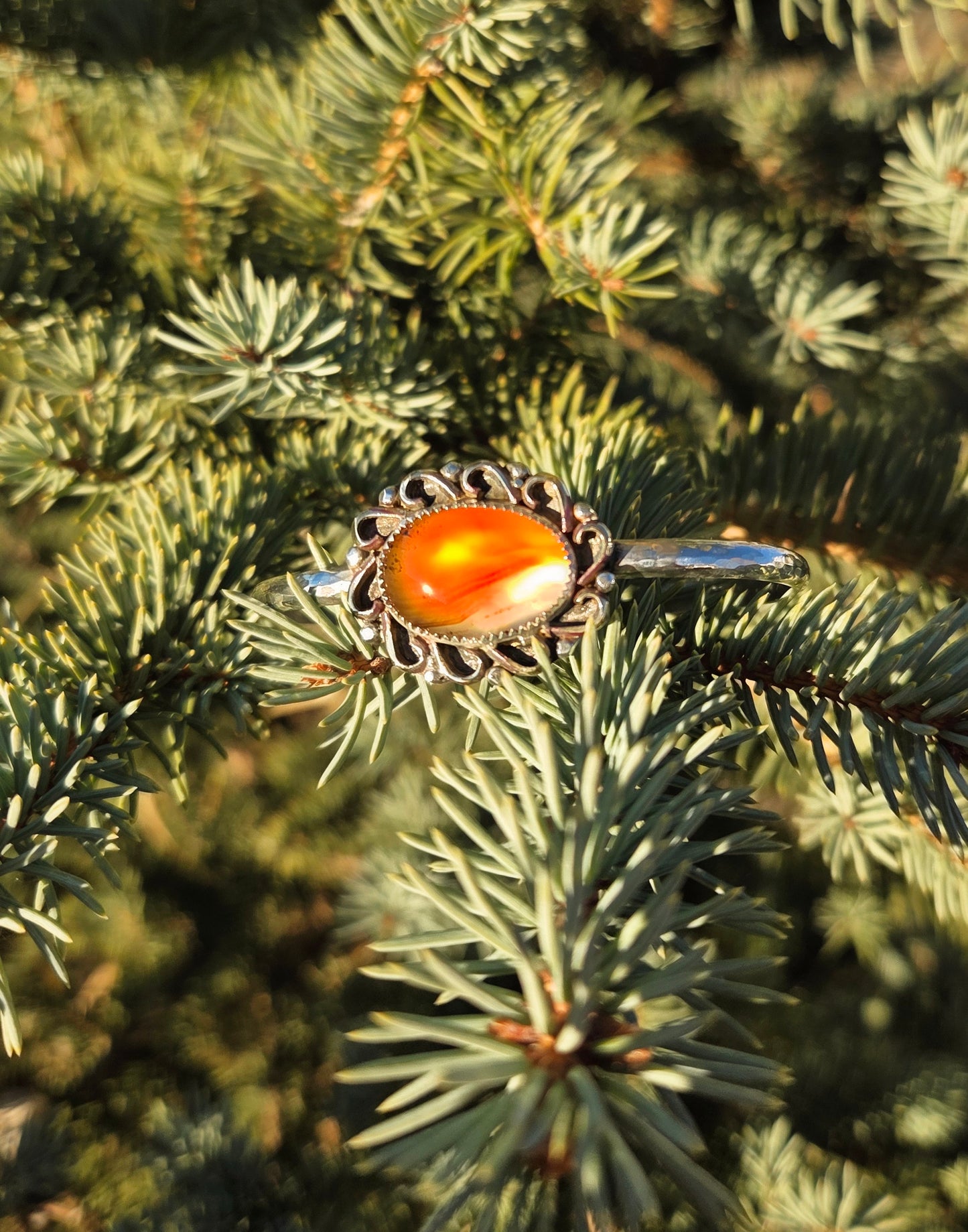 Montana agate curly Q cuff